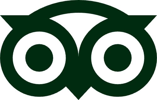 Tripadvisor Ollie RGB Pine For Light Background