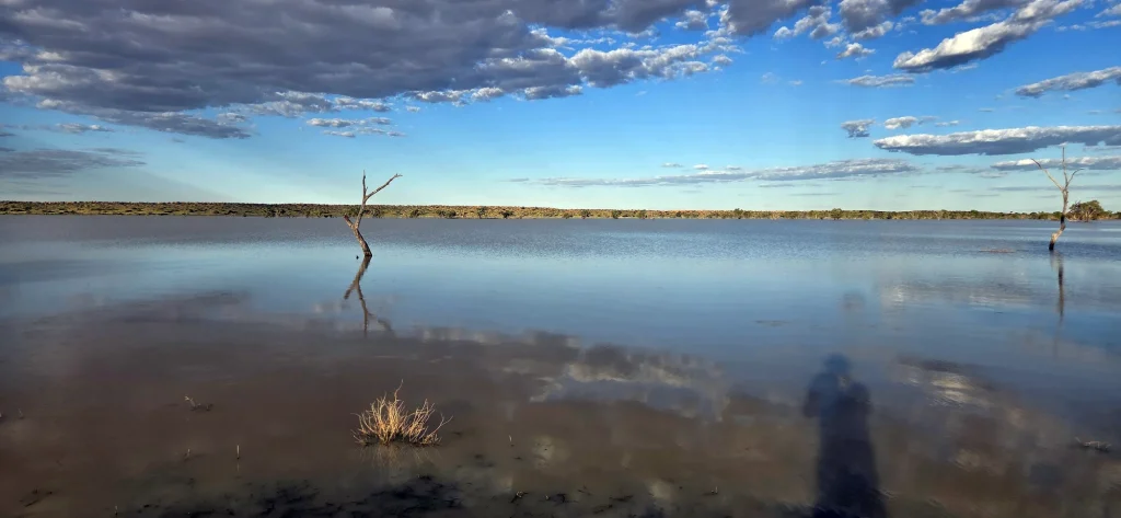 Landscape water